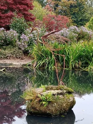 Parc botanique de Haute-Bretagne — photo 2