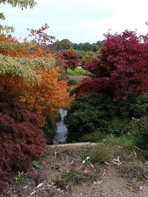 Parc botanique de Haute-Bretagne — photo 4