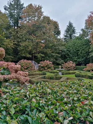 Parc botanique de Haute-Bretagne — photo 6