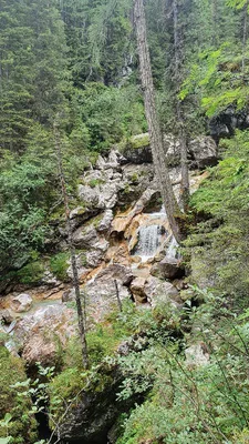 Val Monzoni's creek and waterfall — photo 1