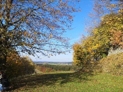 Schlossruine Kling — photo 2