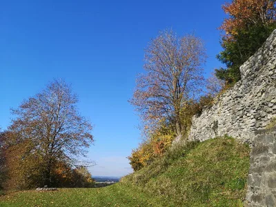 Schlossruine Kling — photo 4