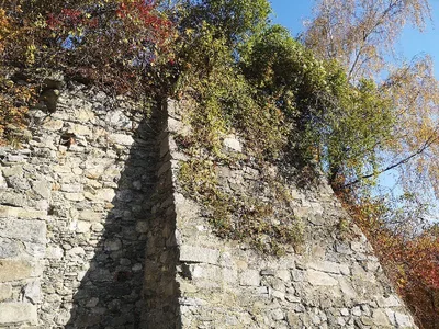 Schlossruine Kling — photo 8
