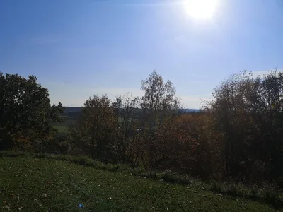 Schlossruine Kling — photo 10