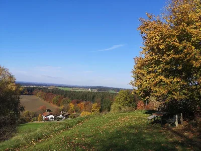 Schlossruine Kling — photo 13