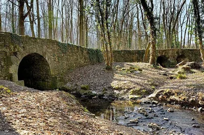 Pont des Templiers — photo 1