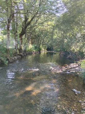 Le viau rivière de Nages — photo 1