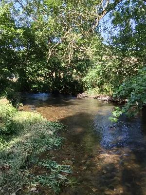 Le viau rivière de Nages — photo 2