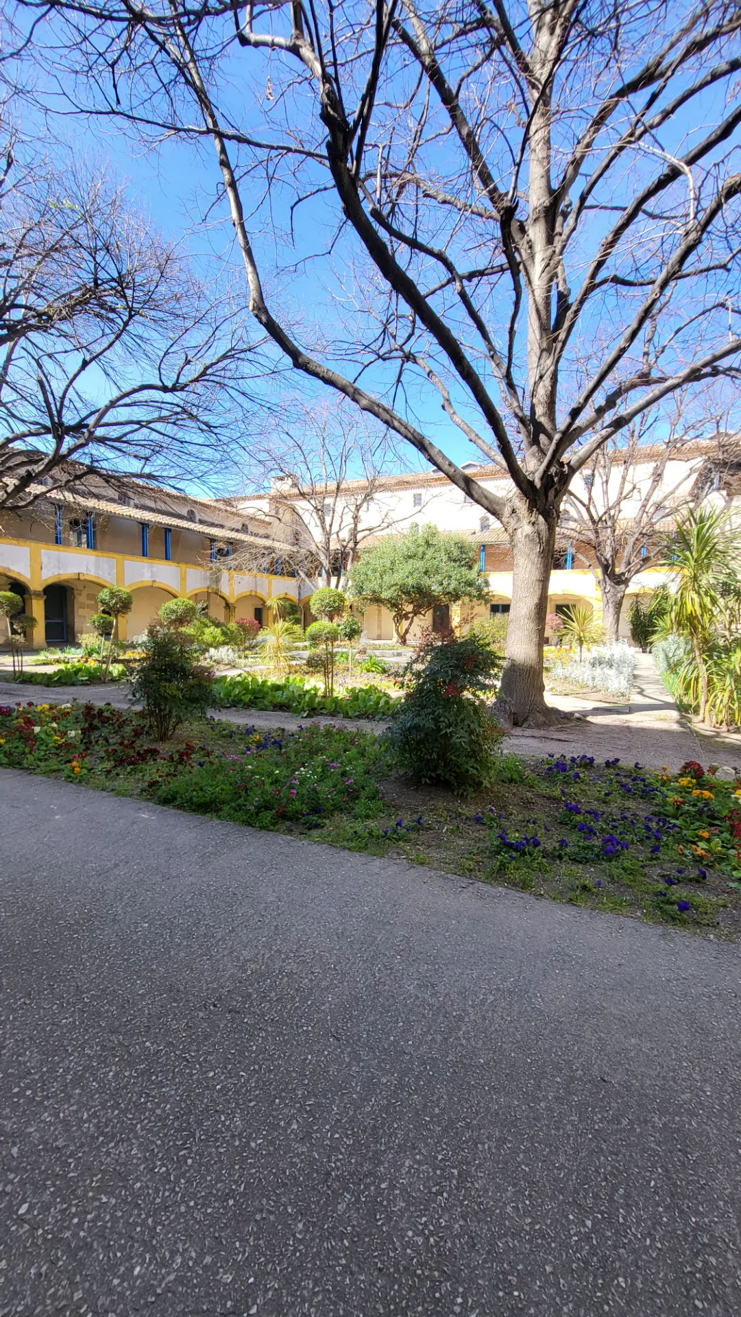 Le Jardin de la Maison de la Santé