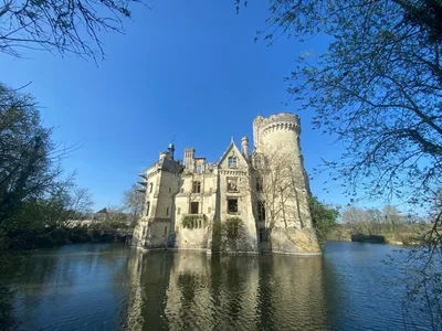 Château de la Mothe Chandeniers — photo 2