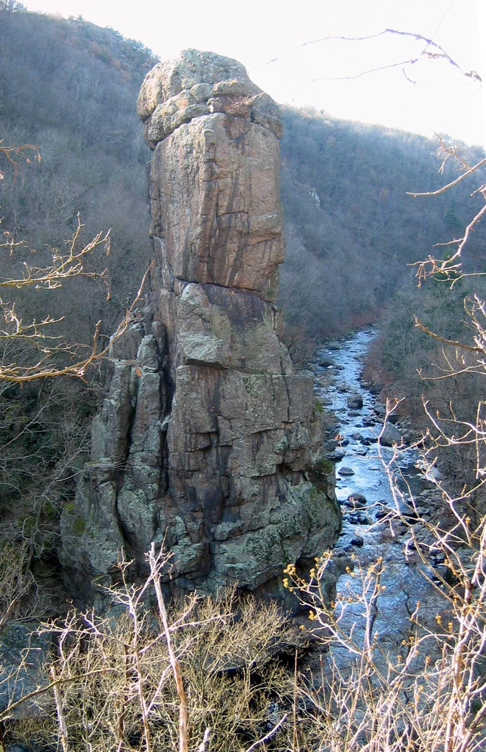 Roche pereandre