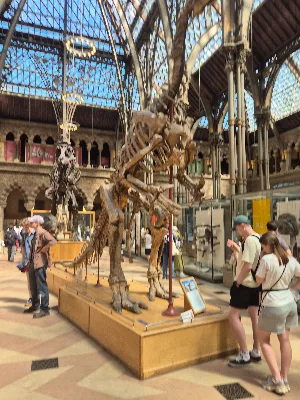 Pitt Rivers Museum - musée d'Histoire naturelle — photo 2