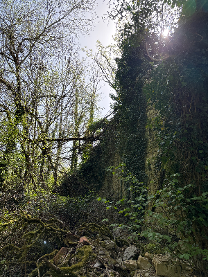 Ruine du Château Mont Didier — photo 3