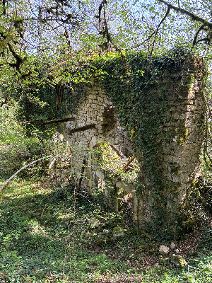 Ruine du Château Mont Didier