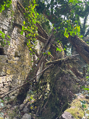 Ruine du Château Mont Didier — photo 4