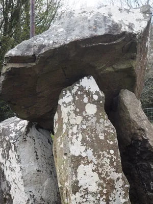 Tirnony Dolmen — photo 2
