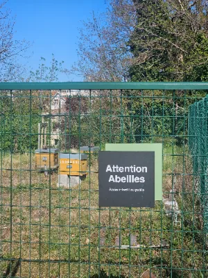 Coulée verte de Vallières — photo 4