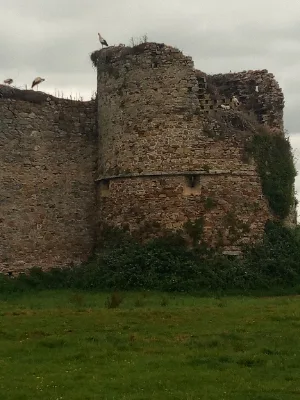 Château de la rivière — photo 2
