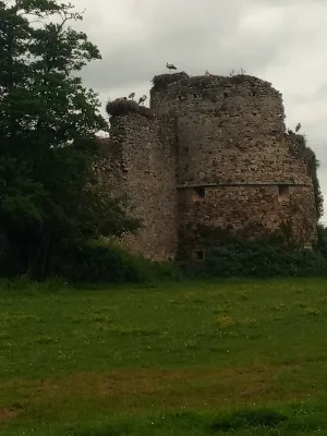 Château de la rivière — photo 4