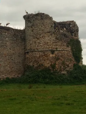 Château de la rivière — photo 3