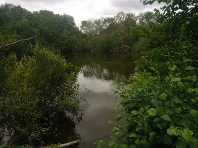 Étang de la tuilerie — photo 3