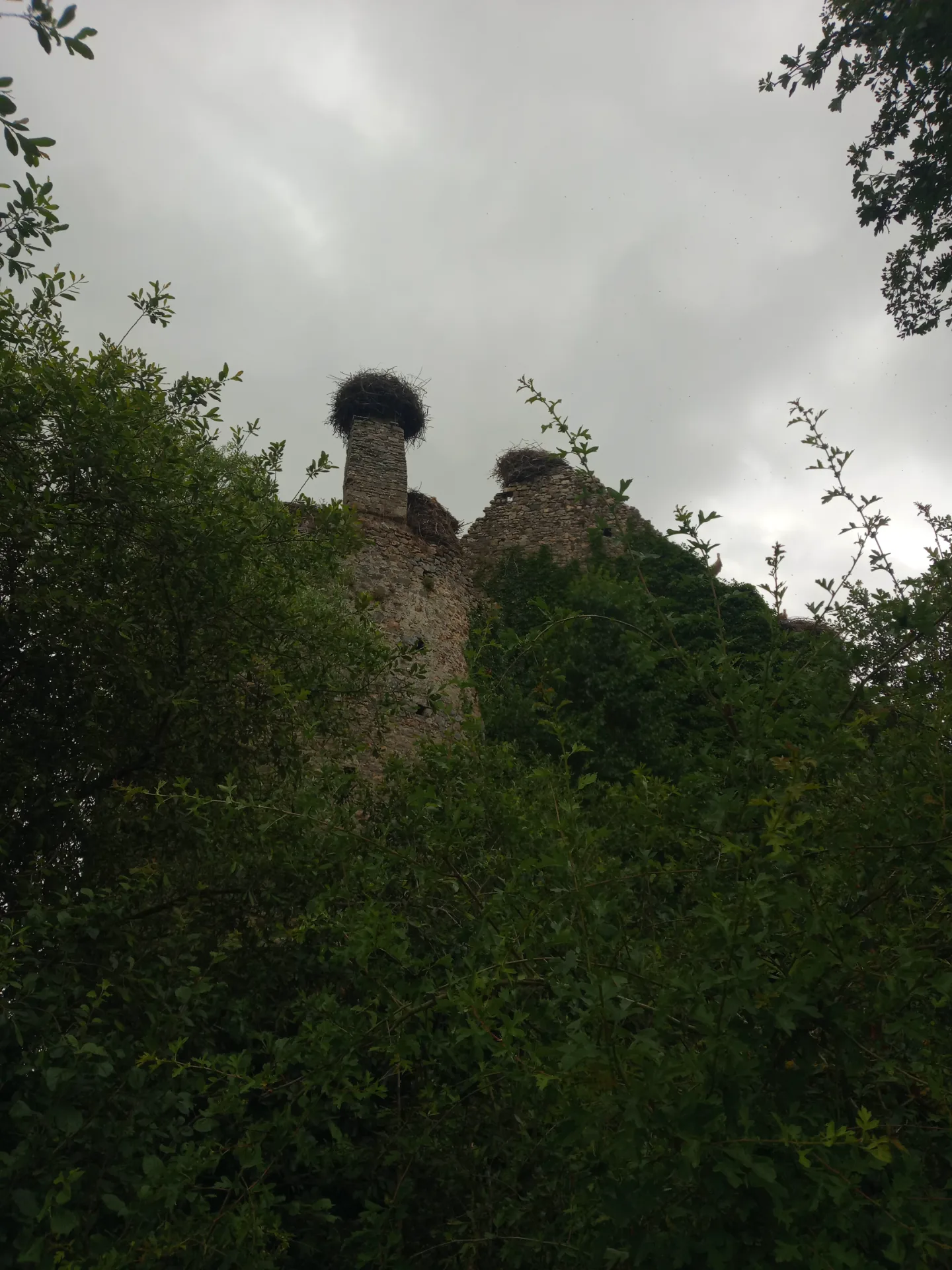 Château de la rivière