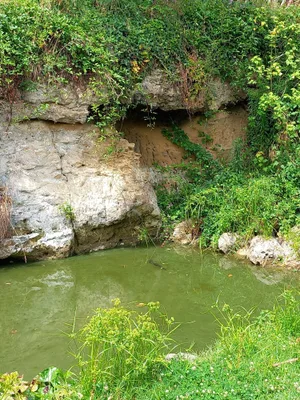 Le Jardin de Vaulieu — photo 3