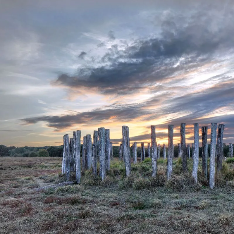 Regte Heide