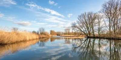 The Biesbosch — photo 3