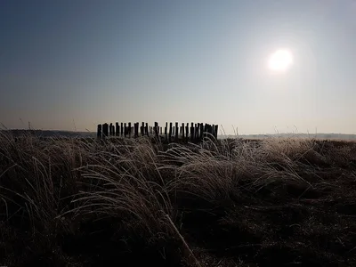 Regte Heide — photo 2