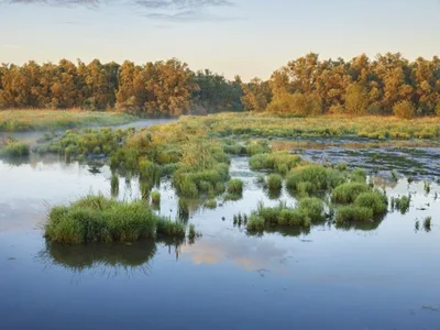The Biesbosch — photo 5