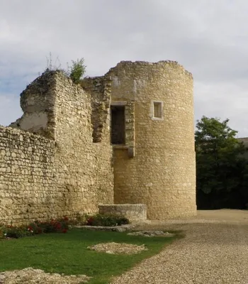 Chateau de Brie Comte Robert — photo 2