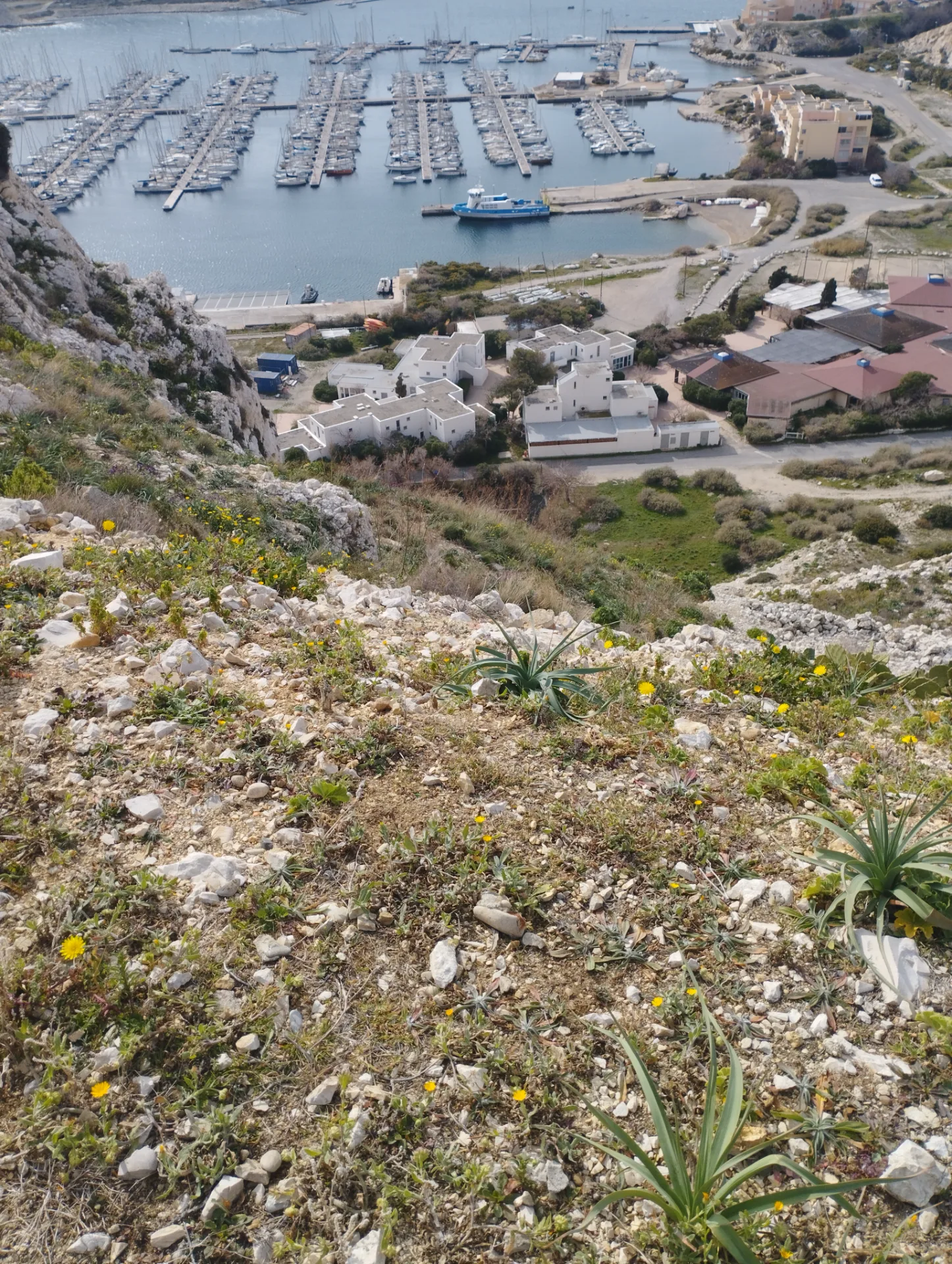 Île du Frioul