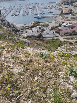 Île du Frioul