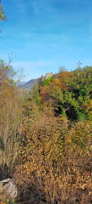 Maison forte du Groin, Le Gua — photo 2