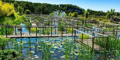 Les jardins d'eau de Carsac