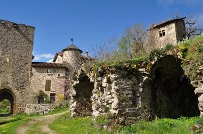 Village médiéval de Peyrusse-le-roc — photo 2