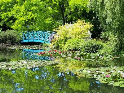 Les jardins d'eau de Carsac — photo 2