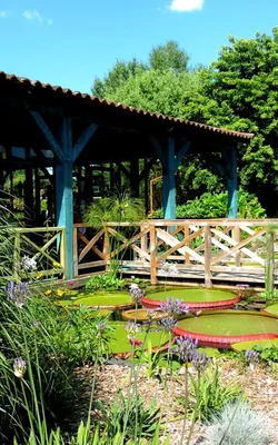 Les jardins d'eau de Carsac — photo 4