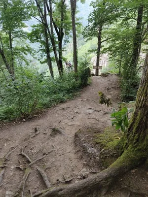 Cascade du saut du chien — photo 3