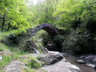Village médiéval de Peyrusse-le-roc — photo 4