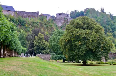 Castle bouillon — photo 3
