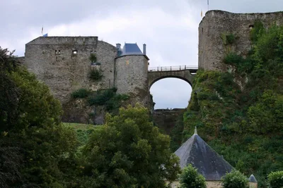 Castle bouillon — photo 4