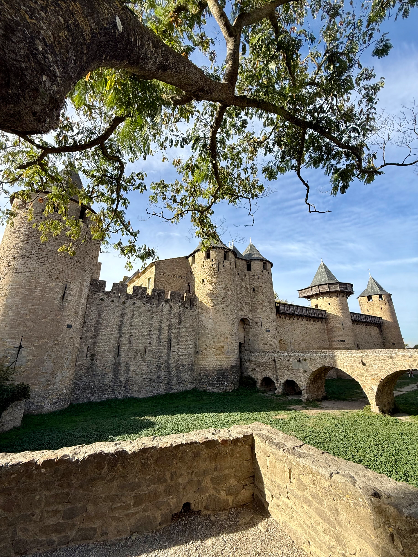 Château comtal