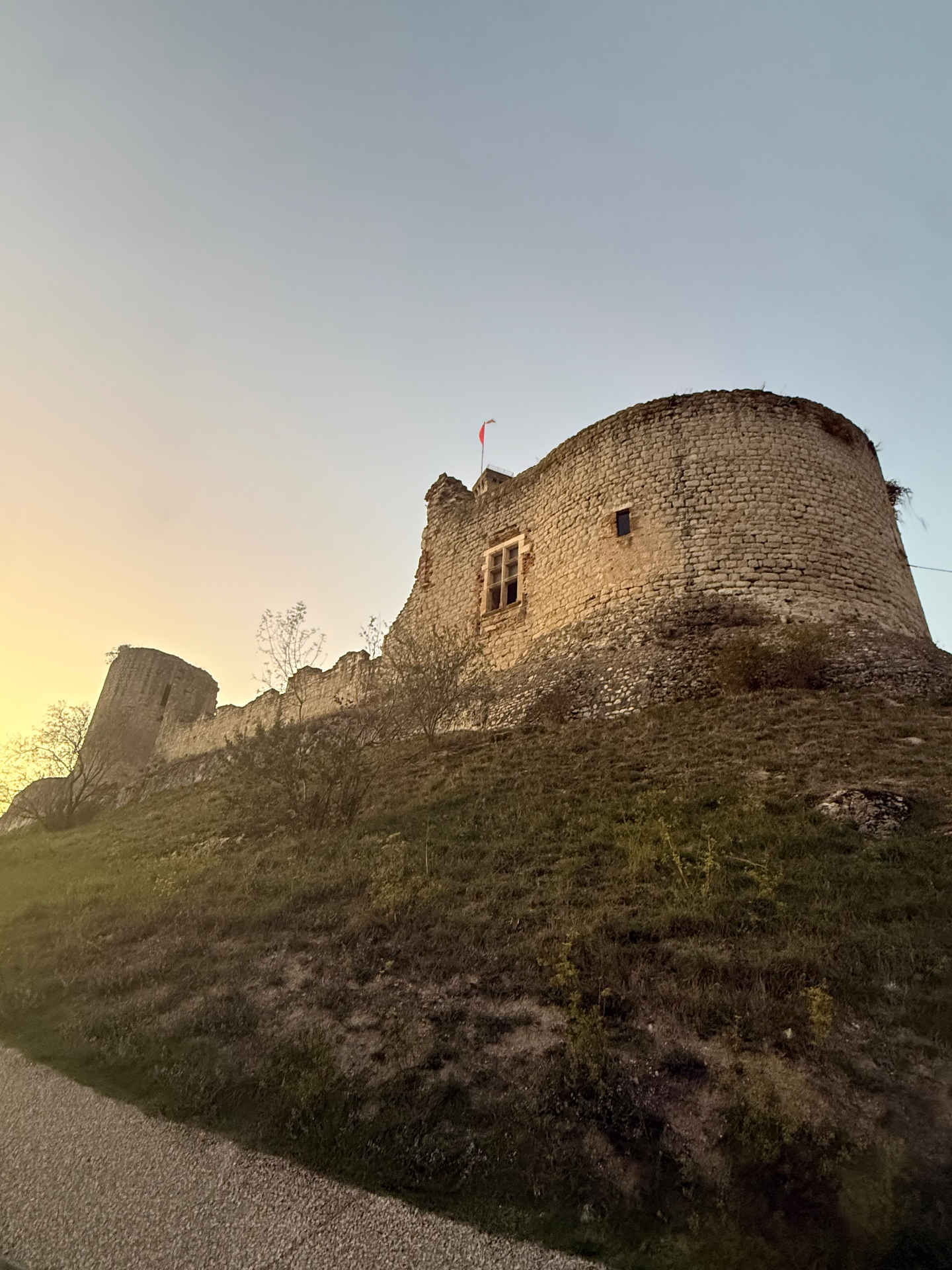 Château de Castelnau-De-Levis