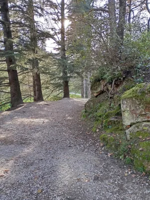 Cascade de saint Ferrol — photo 4