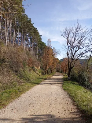 Lac de saint Ferrol — photo 4
