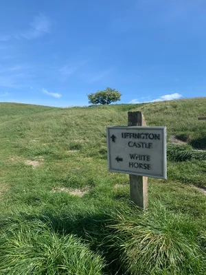 The White Horse of Uffington — photo 3