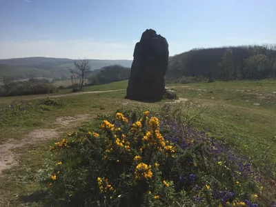 The Longstone, Mottistone — photo 2