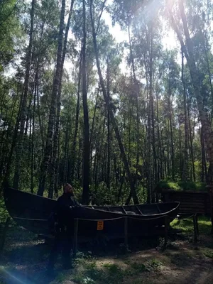 Gnezdovo — photo 2